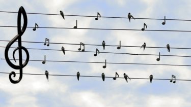 新品未開封正規盤　ベートーヴェン: ピアノ・ソナタ全集 　タチアナ・ニコラーエワ Amazon | ベートーヴェン: ピアノ・ソナタ全集 | タチアーナ